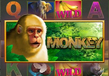 Monkey